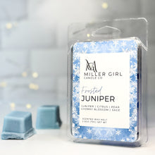 Load image into Gallery viewer, Frosted Juniper | Candles + Wax Melts
