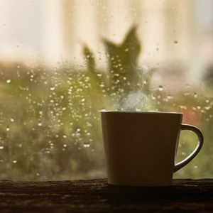 Coffee in the Rain Wax Melt